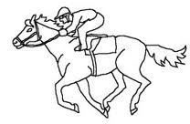 Horse 13